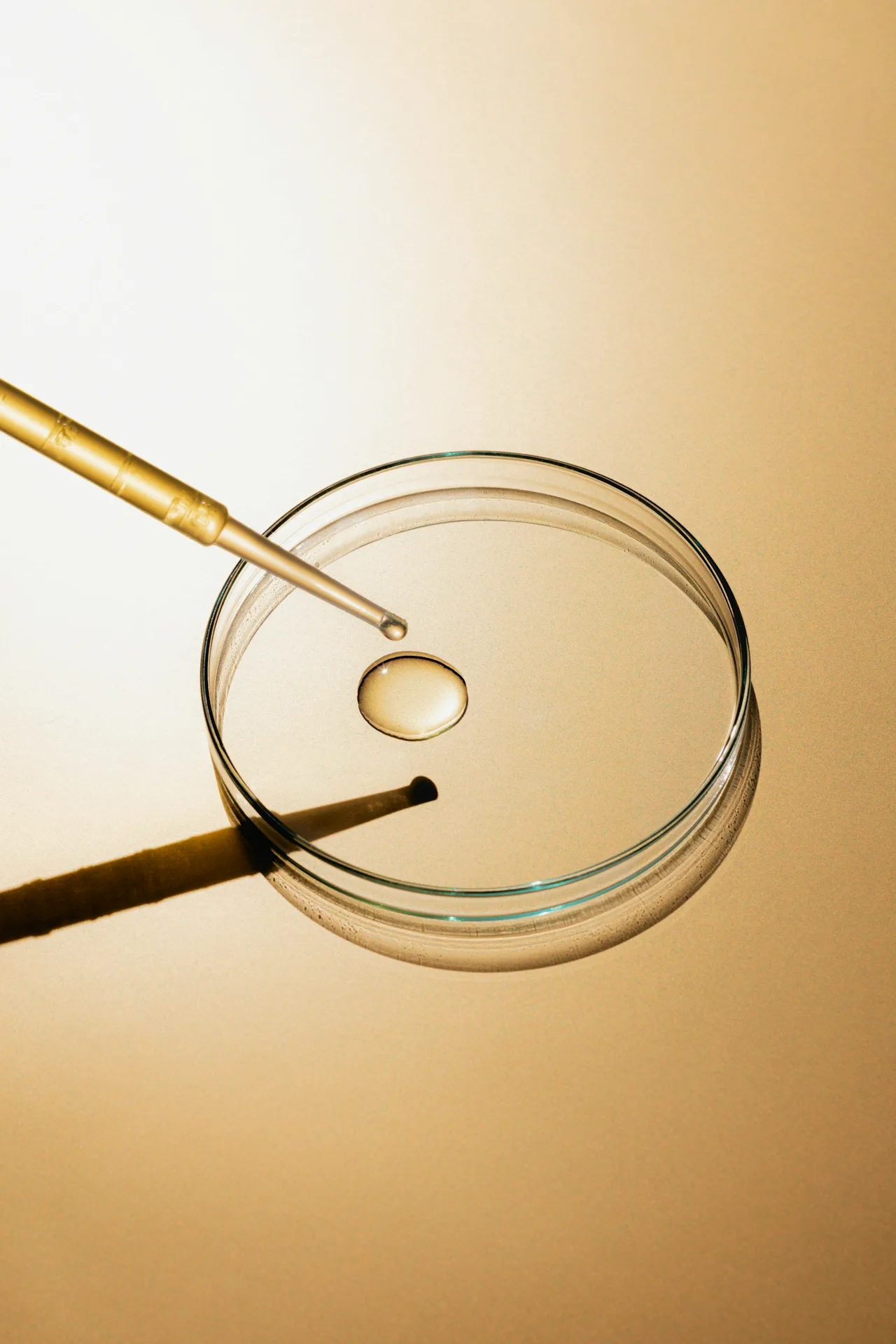 Glass pipette dropping a bead of golden serum into a glass petri dish on an amber-toned background