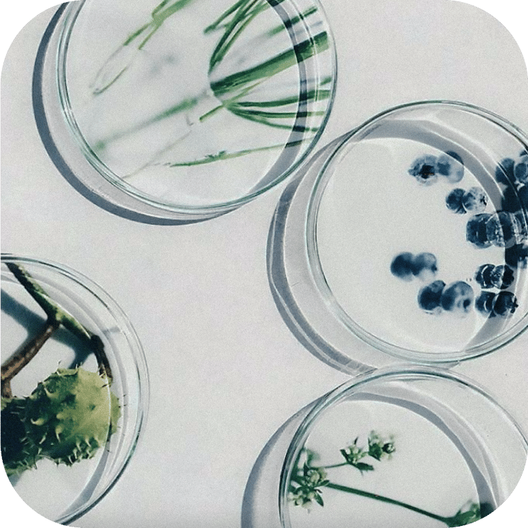 gluten-free-skincare-products