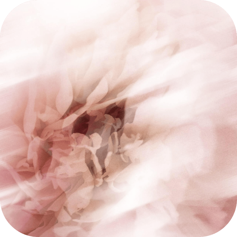 skincare-ingredient-floral-waters