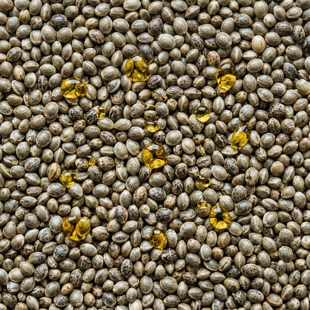 Hemp Seed Oil