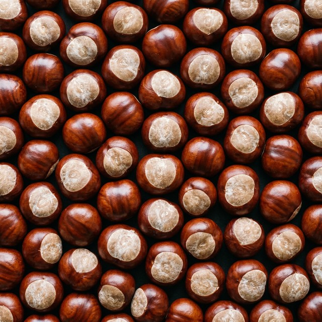 Horse Chestnut Extract