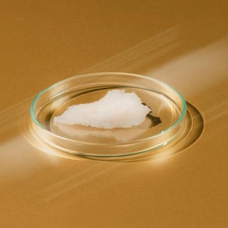 Soy Wax