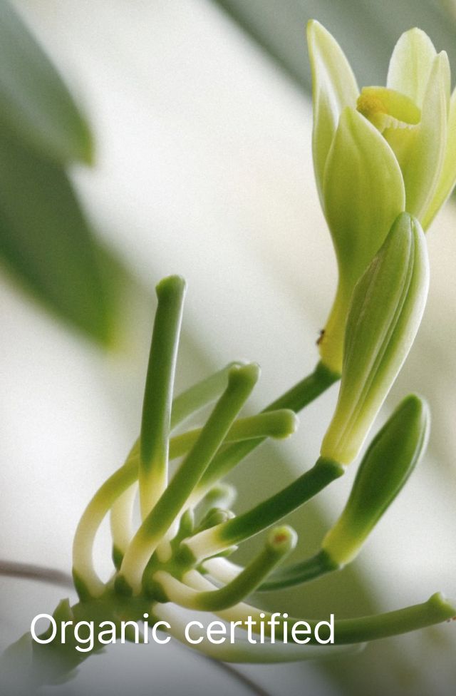 Baby Body Wash, detail 5