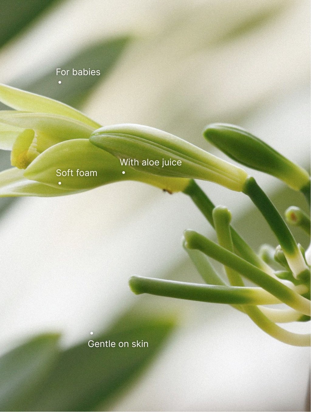 Baby Foaming Wash with its key benefits