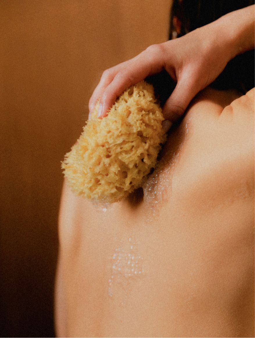 Hand & Body Wash, Grapefruit in use