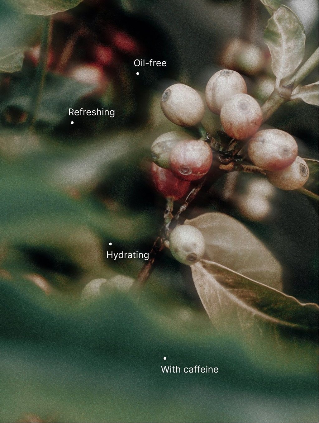 Caffeine Gel Booster with its key benefits