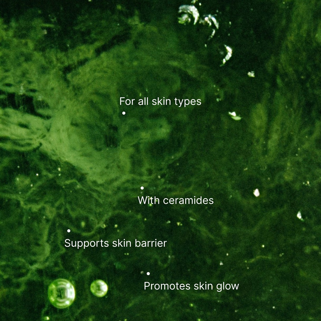 Ceramide Barrier Night Cream