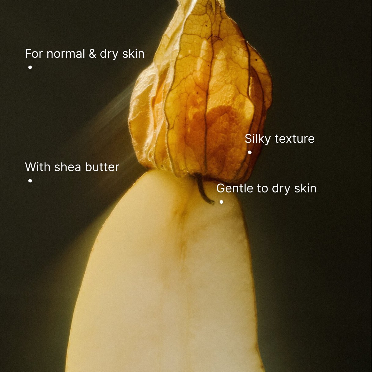 Gentle Cleansing Milk