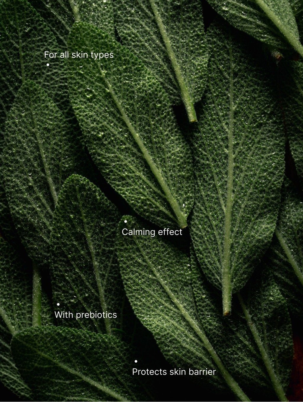 Microbiome Prebiotics Face Mist with its key benefits