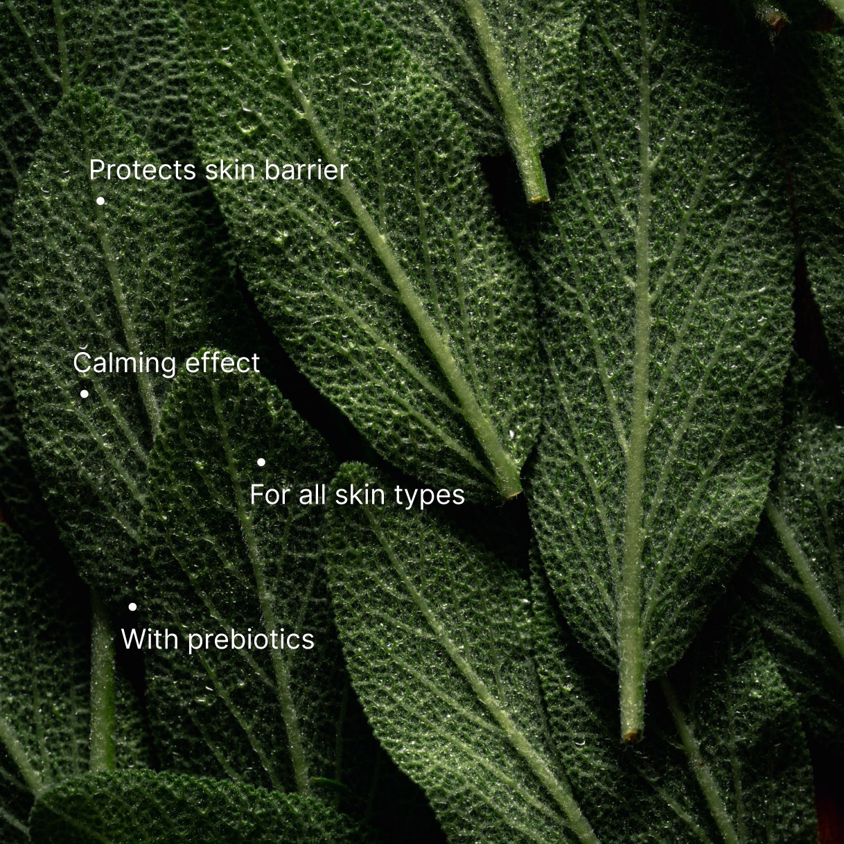 Microbiome Prebiotics Face Mist