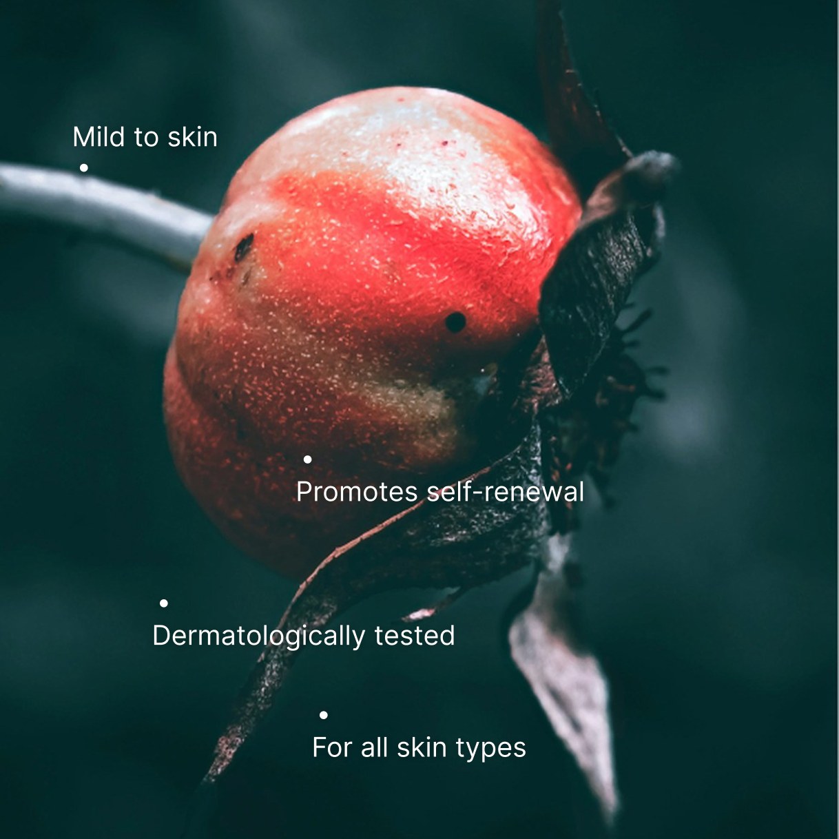 Natürliches Ölserum als Retinol Alternative