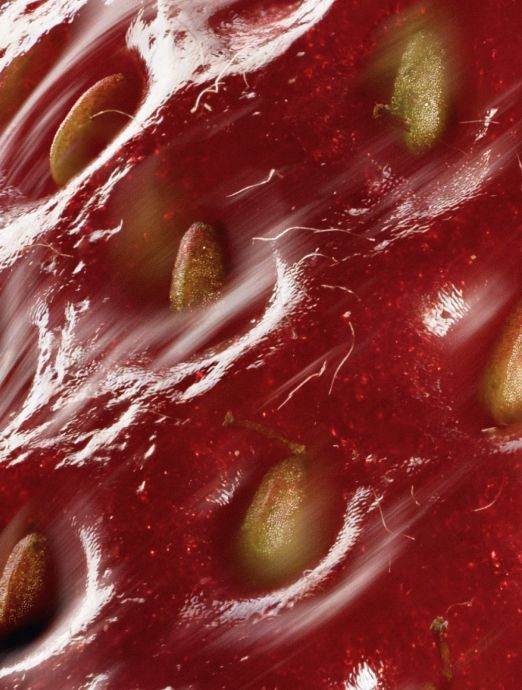 Peptide Anti-Aging Serum, key ingredient