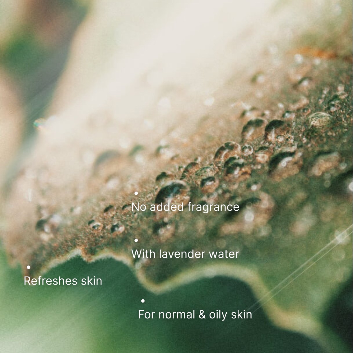 Purifying Toner