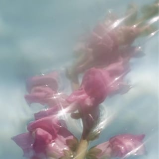 Eau de fleurs de rose