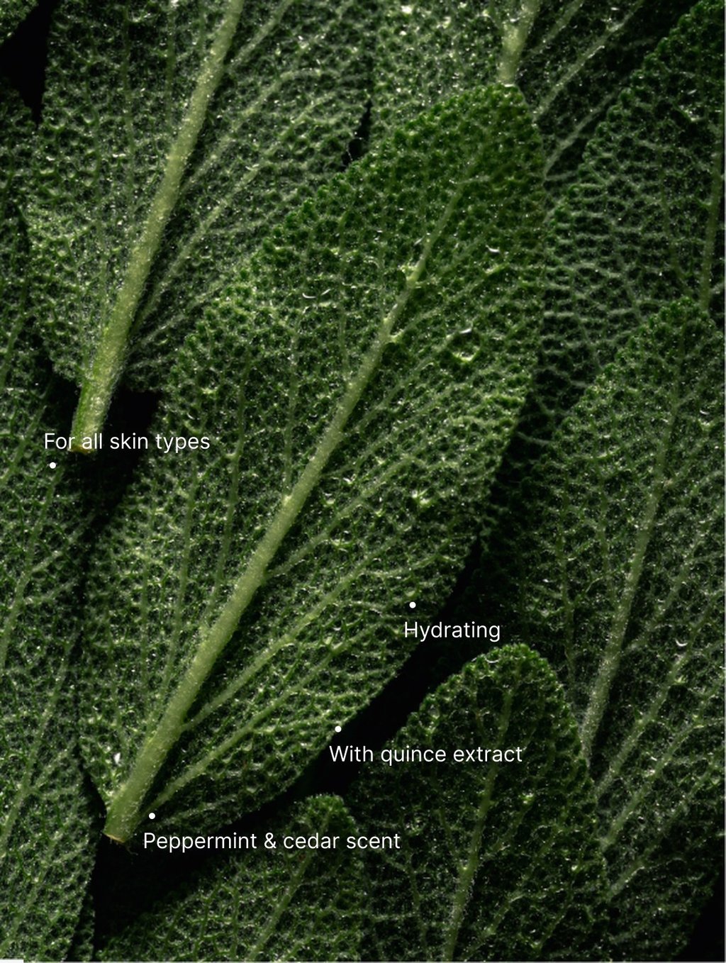 Hand & Body Wash, Peppermint & Dark Cedar with its key benefits