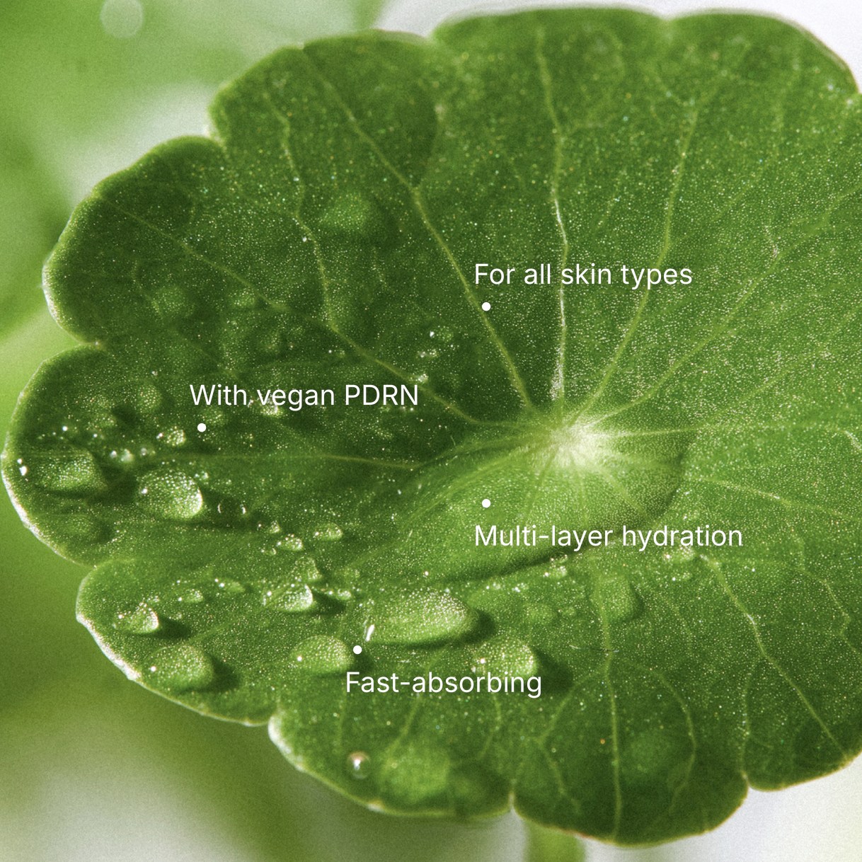 0.3% Spicule PDRN Centella Asiatica Serum