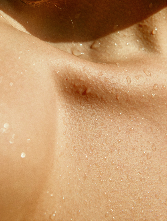 Shampooing, Smoky Green Vetiver en application