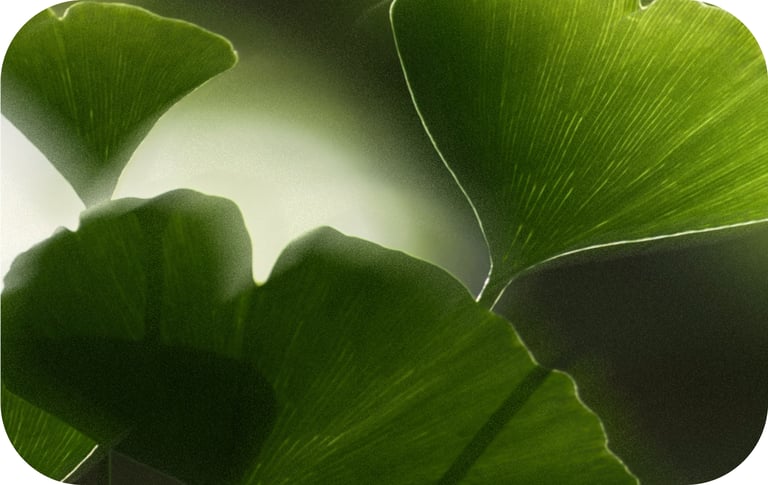 alternating-block.item-2.image.alt